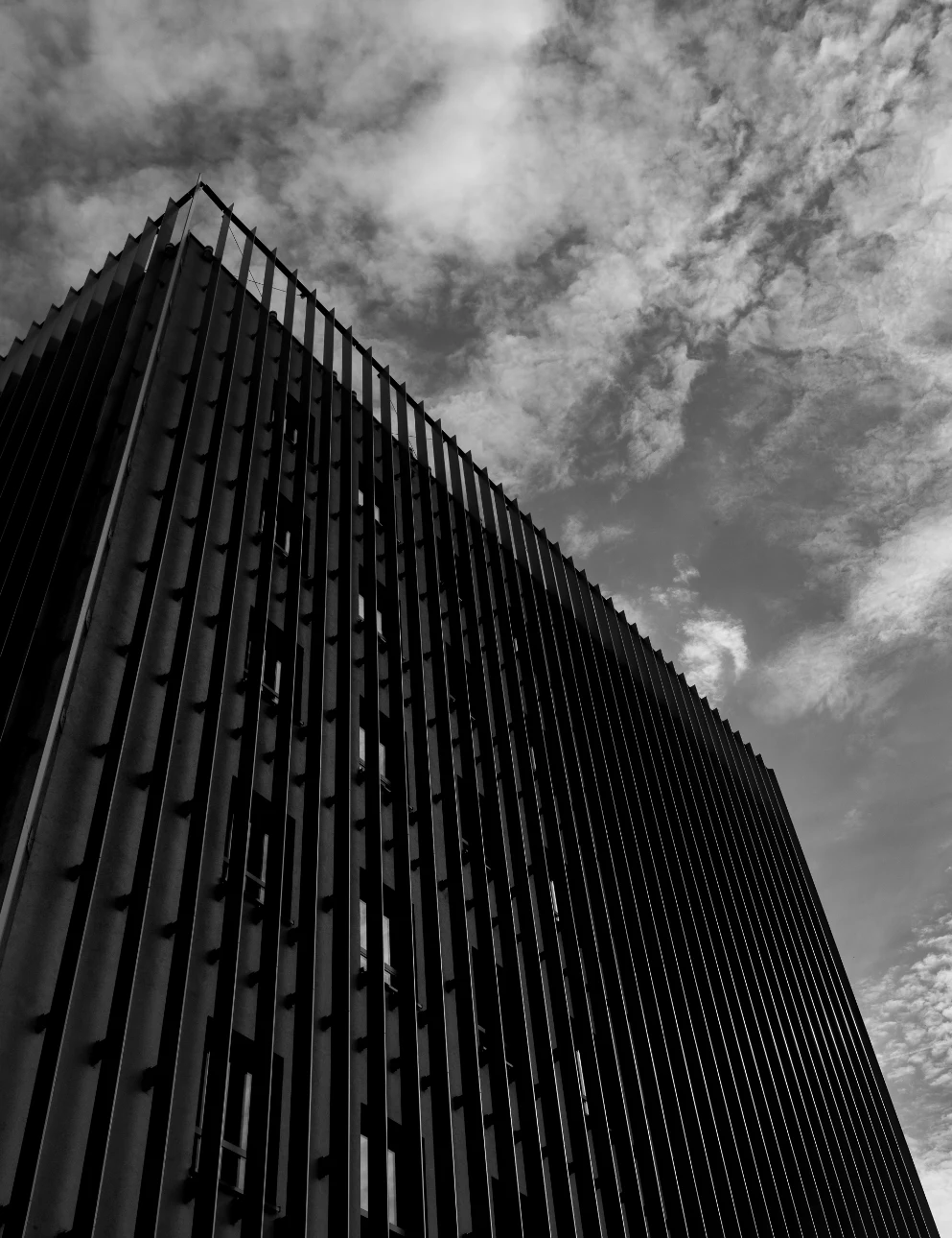 Architektura